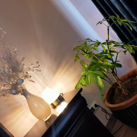Casa Maria Roses Hotel Rîşnov Buitenkant foto