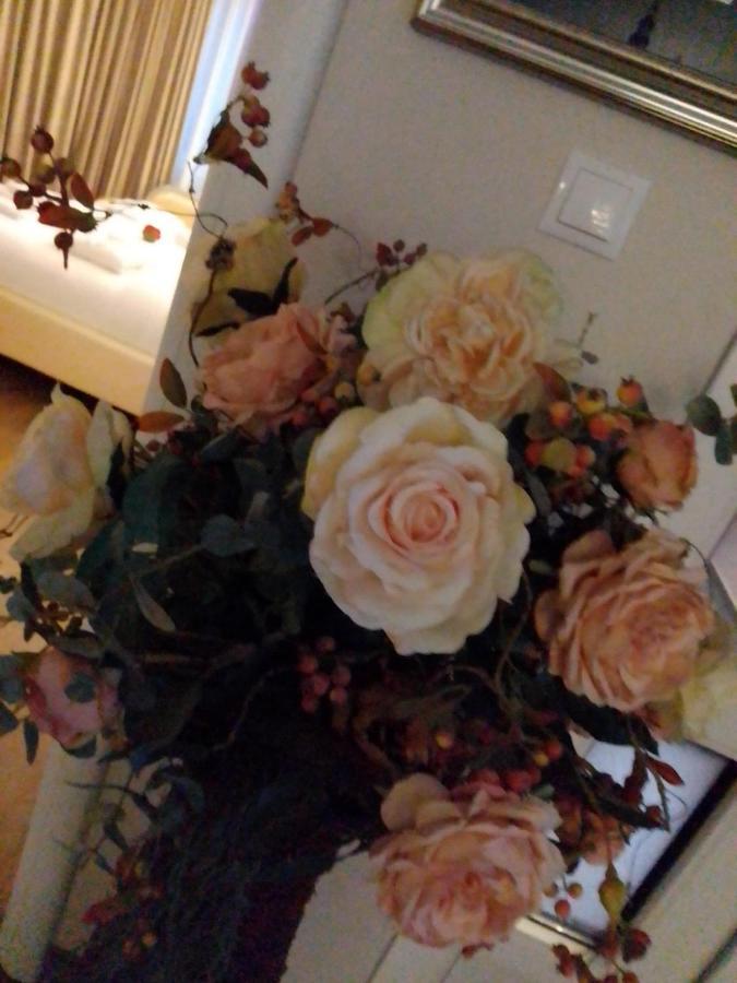 Casa Maria Roses Hotel Rîşnov Buitenkant foto