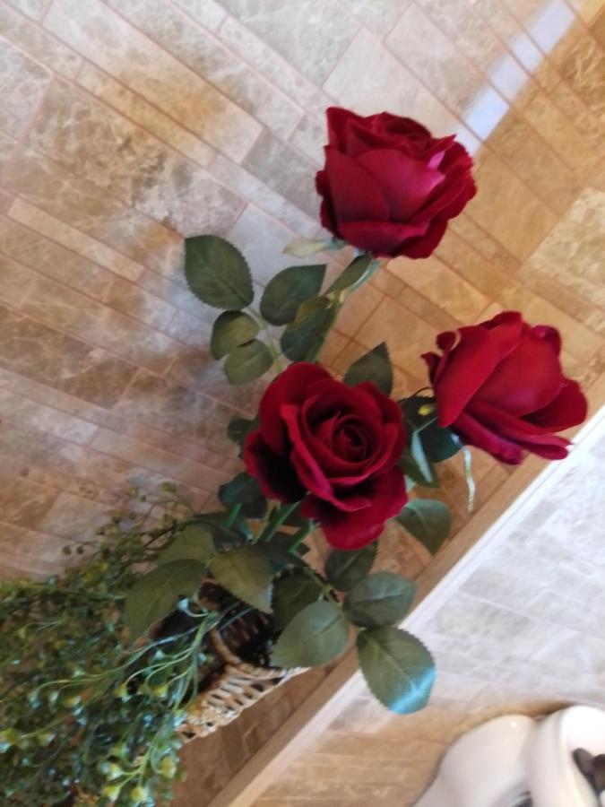 Casa Maria Roses Hotel Rîşnov Buitenkant foto