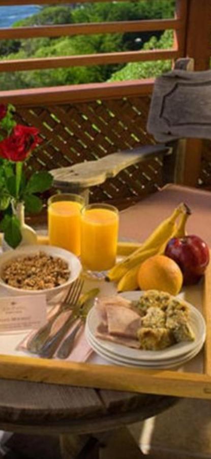 Casa Maria Roses Hotel Rîşnov Buitenkant foto