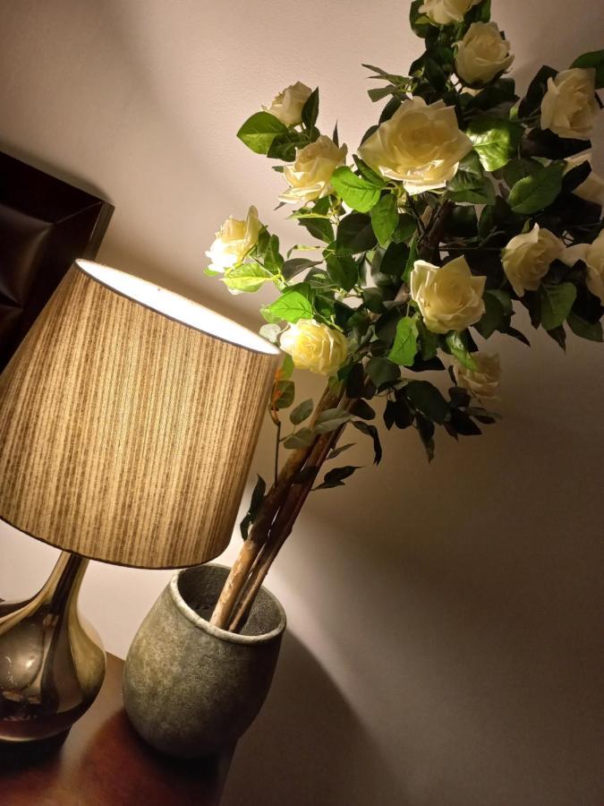 Casa Maria Roses Hotel Rîşnov Buitenkant foto