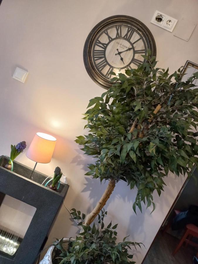 Casa Maria Roses Hotel Rîşnov Buitenkant foto
