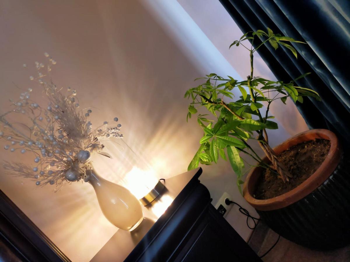 Casa Maria Roses Hotel Rîşnov Buitenkant foto