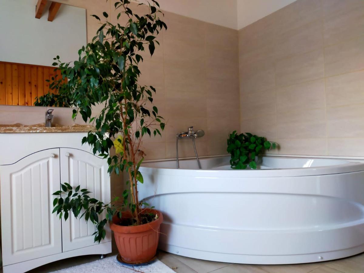 Casa Maria Roses Hotel Rîşnov Buitenkant foto